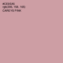 #CE9EA5 - Careys Pink Color Image
